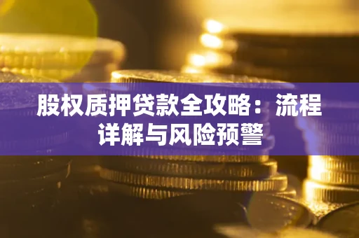 北京股权质押贷款全攻略：流程详解与风险预警