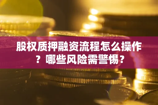 北京股权质押融资流程怎么操作？哪些风险需警惕？