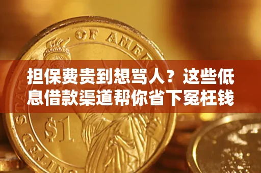 北京担保费贵到想骂人？这些低息借款渠道帮你省下冤枉钱