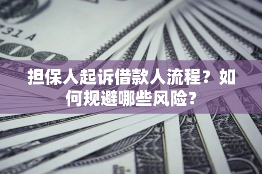 北京担保人起诉借款人流程？如何规避哪些风险？